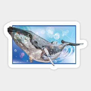 Humpback Whale Sticker